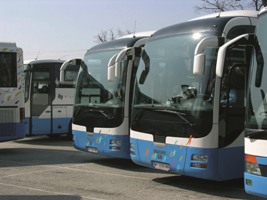 Busrundfahrten in Wien