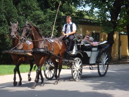 Fiaker Rundfahrt im Schönbrunner Schloßpark