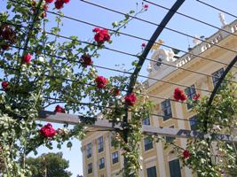 Das Wiener Schloß Schönbrunn